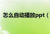 怎么自动播放ppt（ppt设置自动播放方法）