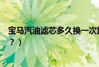 宝马汽油滤芯多久换一次比较好（宝马汽油滤芯多久换一次？）