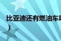 比亚迪还有燃油车吗（比亚迪除宋还有什么？）