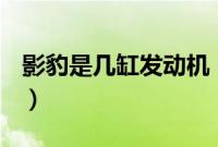 影豹是几缸发动机（影豹发动机是什么品牌？）