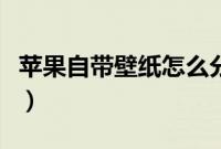 苹果自带壁纸怎么分享（苹果自带壁纸在哪里）