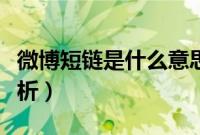 微博短链是什么意思（新浪微博什么是短链分析）
