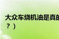 大众车烧机油是真的吗（大众车离合器多久换？）