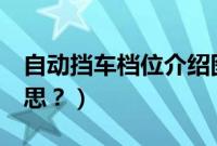 自动挡车档位介绍图（自动挡车的S是什么意思？）