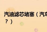 汽油滤芯堵塞（汽车汽油滤芯堵了有哪些症状？）