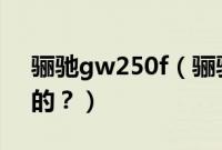 骊驰gw250f（骊驰gw250哪些部件是进口的？）