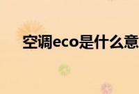 空调eco是什么意思（eco是指意思？）