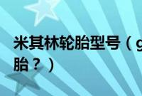 米其林轮胎型号（goodyear是什么牌子的轮胎？）