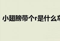 小翅膀带个r是什么车（r带翅膀是什么车？）