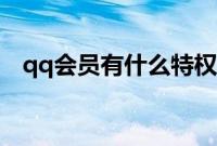qq会员有什么特权（qq会员有什么好处）