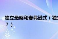 独立悬架和麦弗逊式（独立悬挂和麦弗逊悬挂的区别是什么？）