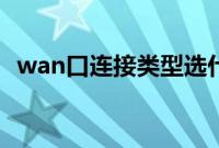wan口连接类型选什么（wan口连接类型）
