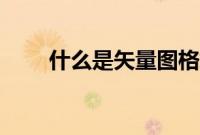 什么是矢量图格式（什么是矢量图）