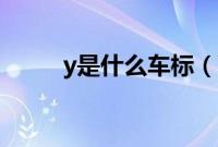 y是什么车标（Y字样是什么车？）
