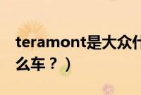 teramont是大众什么车（tavronx大众是什么车？）