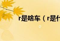 r是啥车（r是什么汽车的标志？）