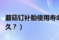 蘑菇钉补胎使用寿命（蘑菇钉补胎后可以用多久？）
