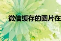 微信缓存的图片在哪（微信缓存是什么）