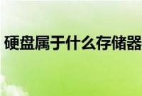 硬盘属于什么存储器（硬盘属于什么存储器）