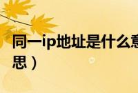 同一ip地址是什么意思（不同ip地址是什么意思）