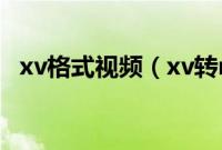 xv格式视频（xv转rmvb格式转换器方法）