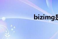 bizimg是什么文件夹