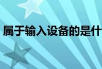 属于输入设备的是什么（属于输入设备的是）