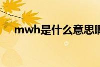 mwh是什么意思啊（mwh是什么单位）