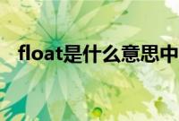 float是什么意思中文（float是什么意思）