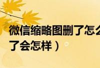 微信缩略图删了怎么恢复正常（微信缩略图删了会怎样）