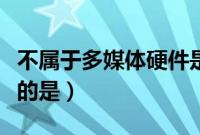 不属于多媒体硬件是什么(不属于多媒体硬件的是)