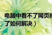 电脑中看不了网页视频怎么办（网页视频看不了如何解决）