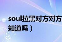 soul拉黑对方对方显示什么(soul拉黑对方知道吗)