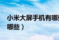 小米大屏手机有哪些2020（小米大屏手机有哪些）