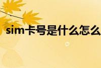 sim卡号是什么怎么查询（sim卡号是什么）