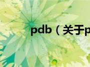 pdb（关于pdb的基本详情介绍）
