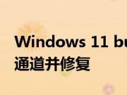Windows 11 build 22622.450 推出 Beta 通道并修复
