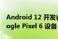 Android 12 开发者支持图像现在可用于 Google Pixel 6 设备