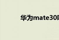 华为mate30听筒是屏幕发声吗