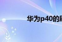 华为p40的刷新率是多少Hz