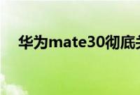 华为mate30彻底关闭自动旋转如何操作