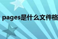 pages是什么文件格式（pages是什么软件）