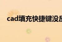 cad填充快捷键没反应（cad填充快捷键）