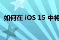 如何在 iOS 15 中将 iPhone 背面用作按钮
