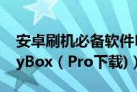 安卓刷机必备软件BusyBox安装教程(附BusyBox（Pro下载)）