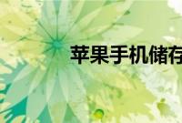 苹果手机储存里的其他是什么