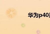 华为p40是不是双系统