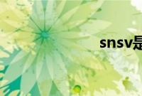 snsv是什么牌子