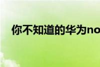 你不知道的华为nova7悬浮球的取消方法