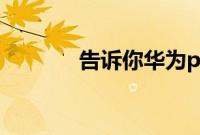 告诉你华为p40有没有双系统